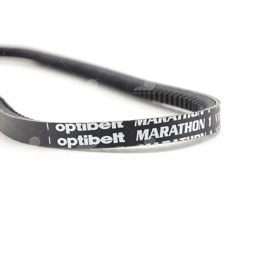 Dây curoa thang Optibelt  V10x825