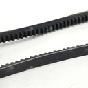 Dây curoa thang Optibelt  V13x620