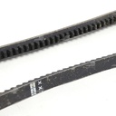 Dây curoa thang Optibelt  V13x795