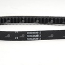 Dây curoa thang Optibelt  V13x820