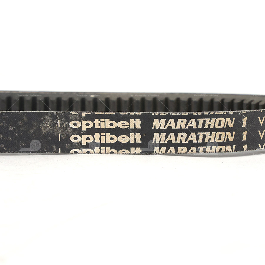 Dây curoa thang Optibelt  V15x800