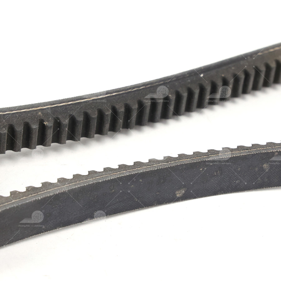 Dây curoa thang Optibelt  V15x800