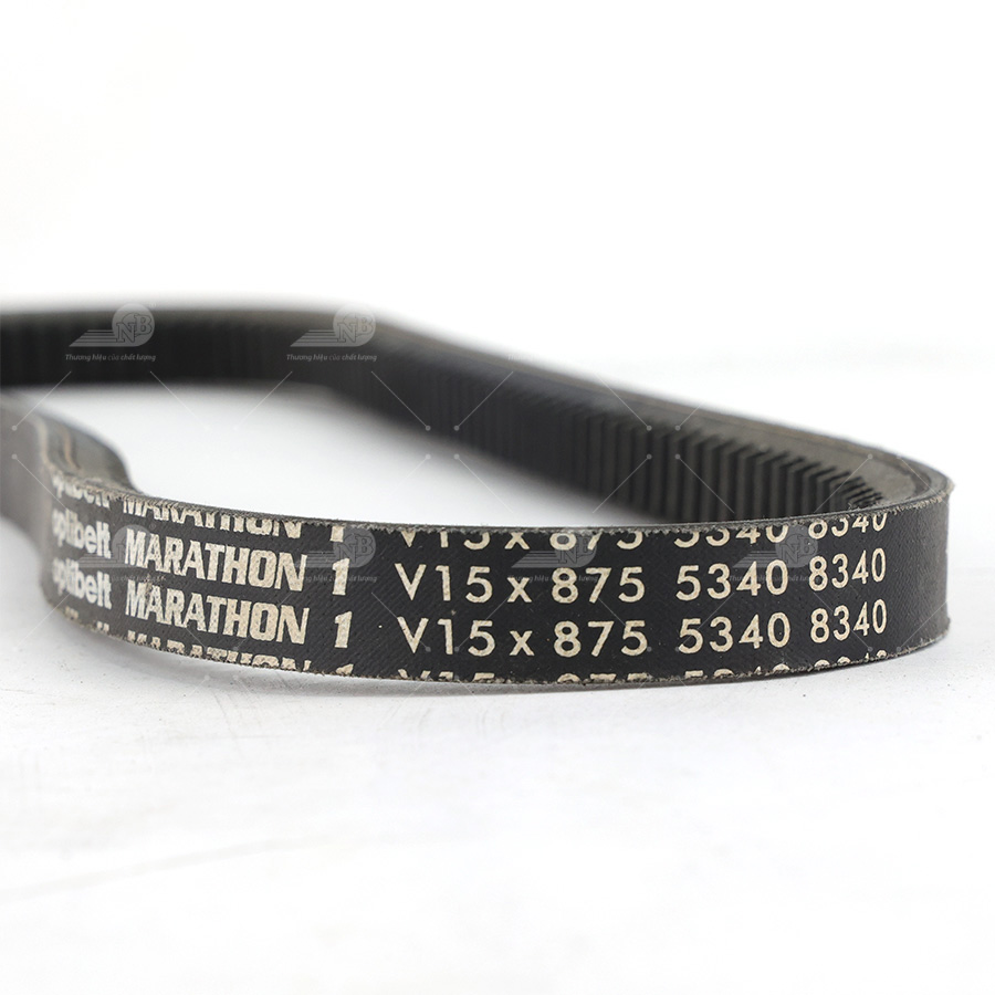 Dây curoa thang Optibelt  V15x875