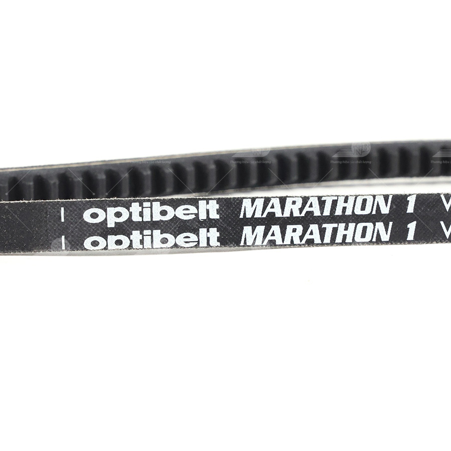 Dây curoa thang Optibelt  V10x1155