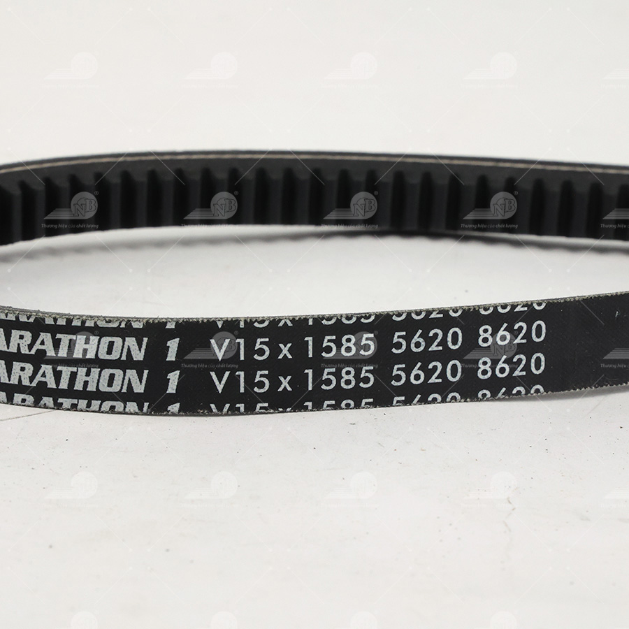 Dây curoa thang Optibelt  V15x1585