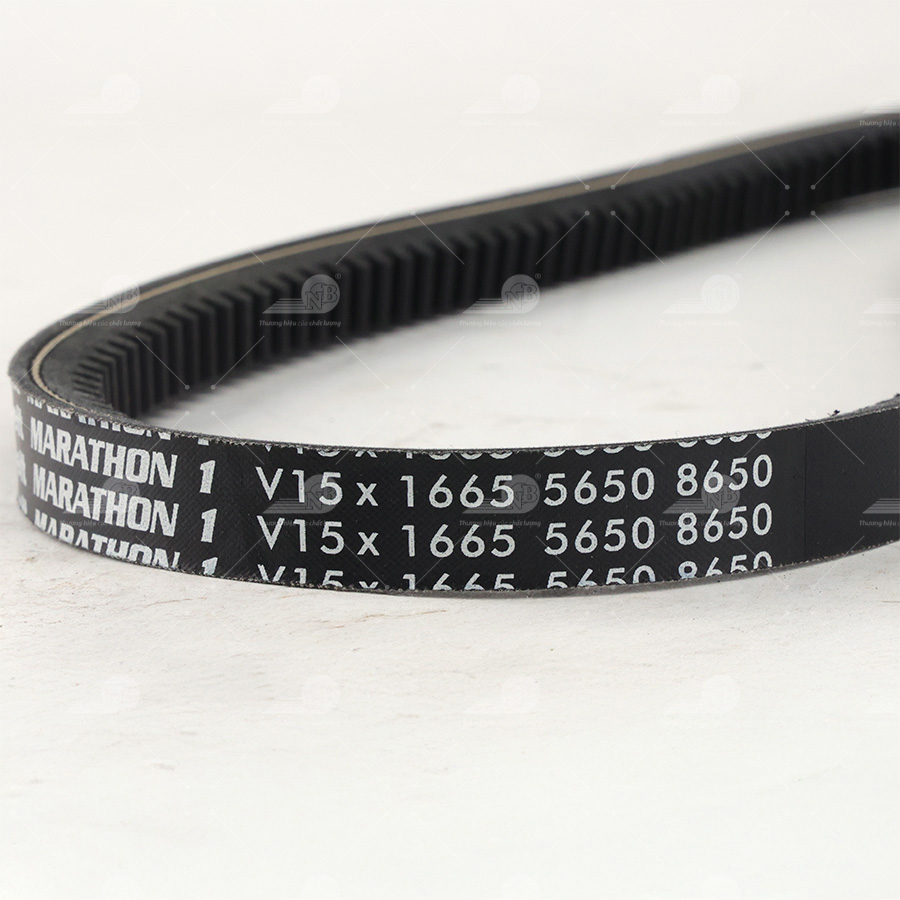 Dây curoa thang Optibelt  V15x1665