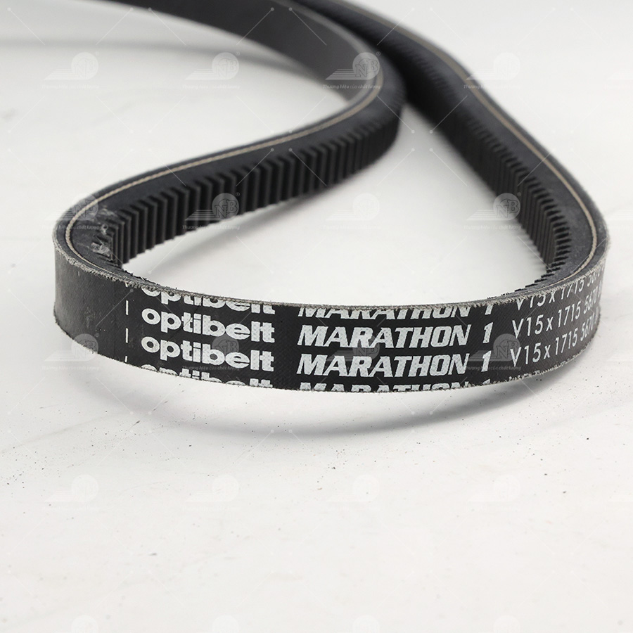 Dây curoa thang Optibelt  V15x1715