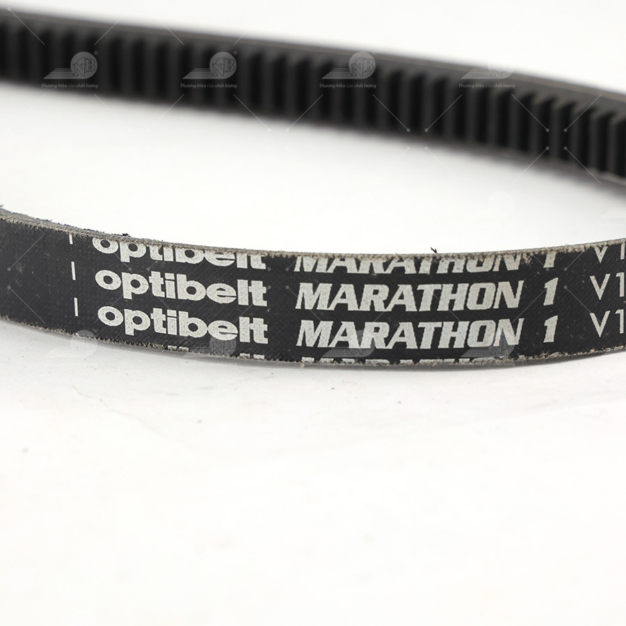 Dây curoa thang Optibelt  V15x1815