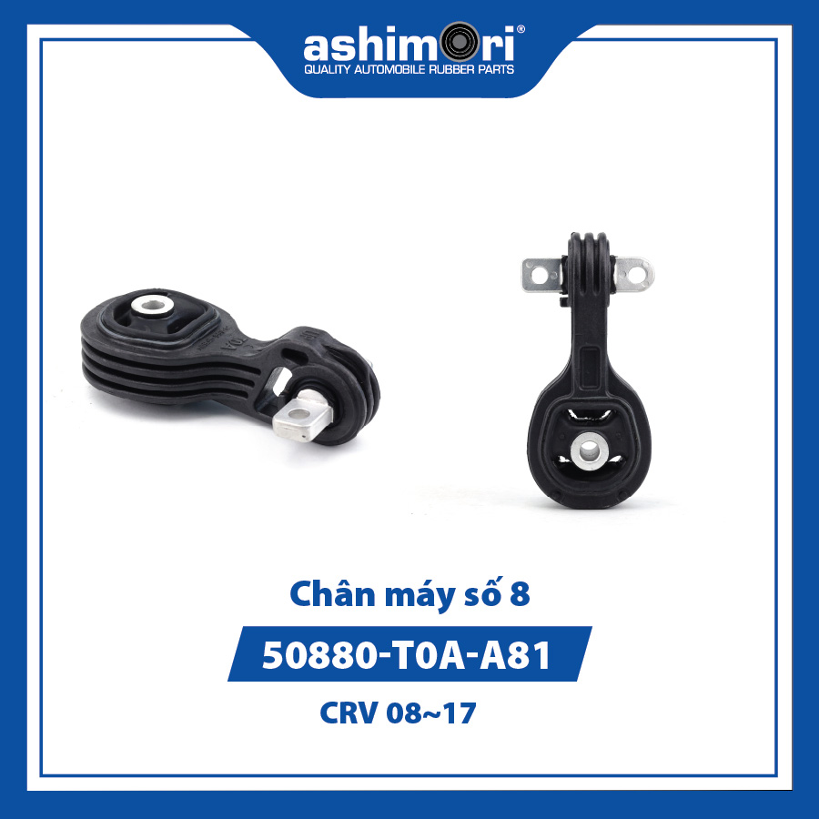 Chân máy số 8 SEMHD-20109/OEM No.50880-T0A-A81