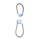 Optibelt F43.6 - V10x1120 Dây curoa thang